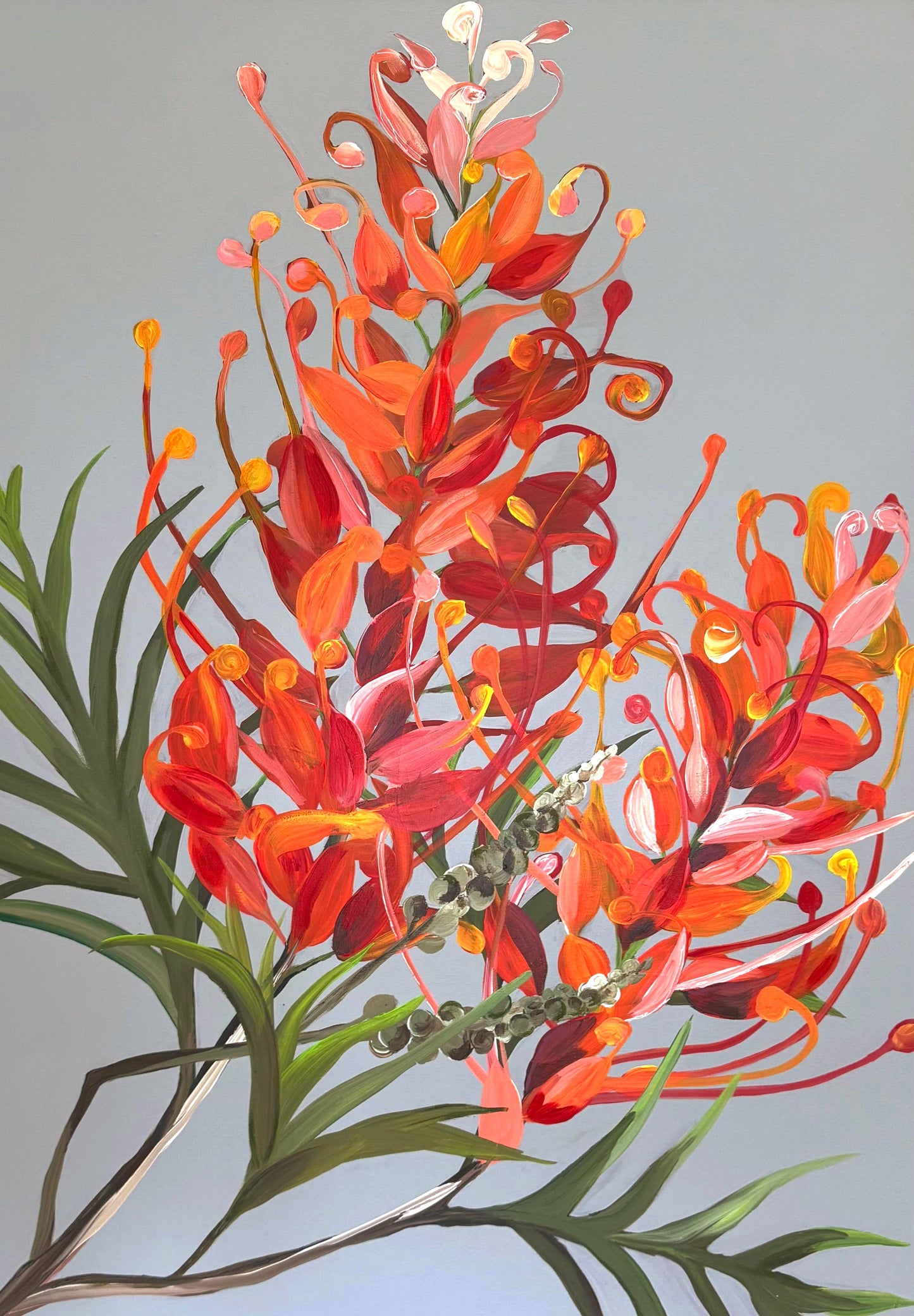 Grevillea | Original Artwork