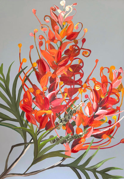 Grevillea | Original Artwork