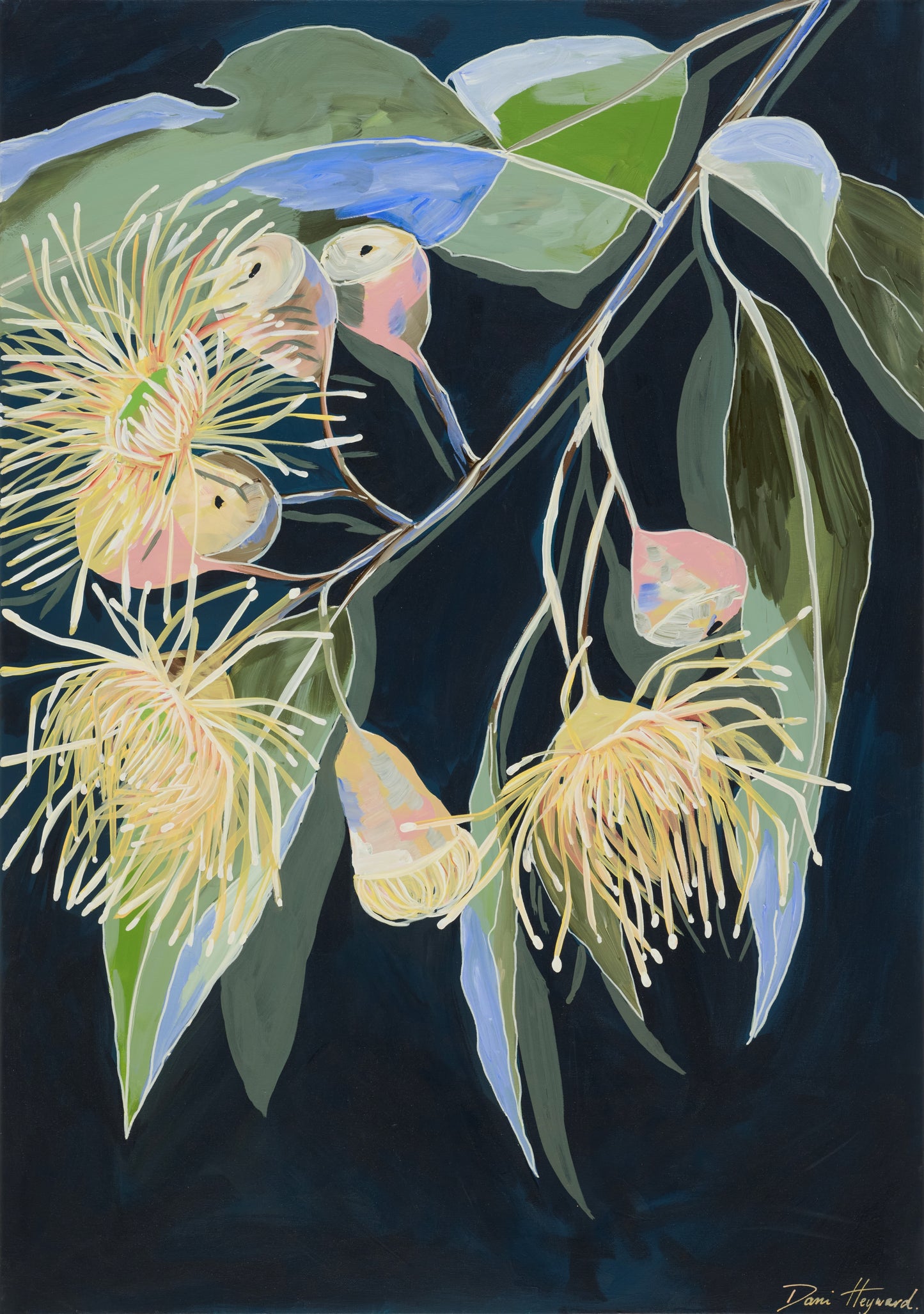 Midnight gums | Fine Art Print