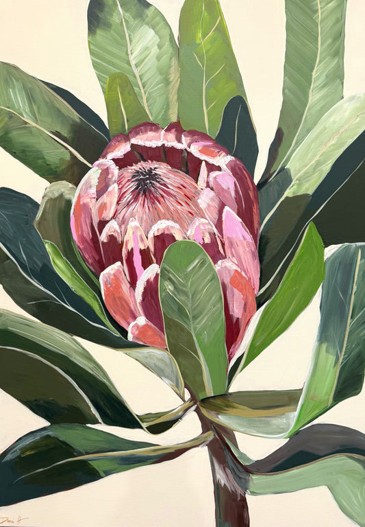 Protea | Fine Art Print