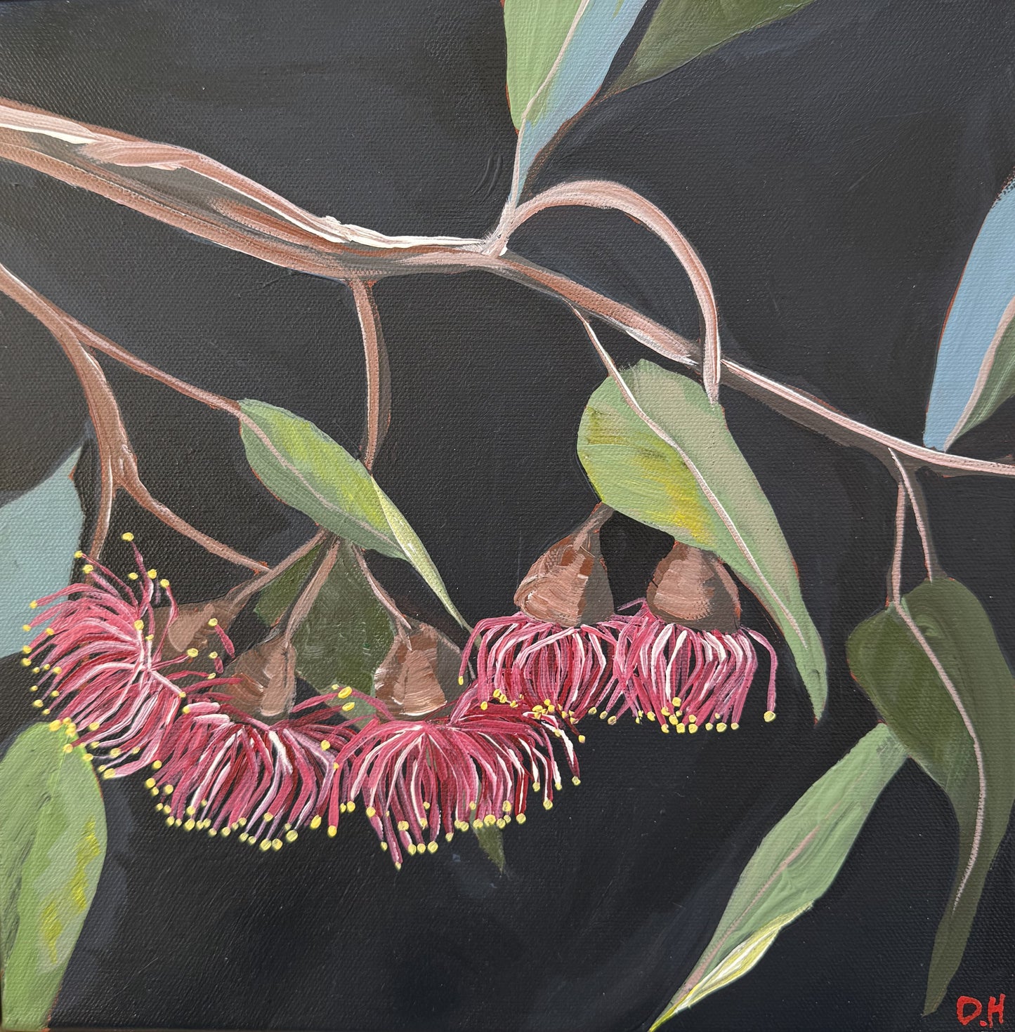 Red Gum Mini | Original Artwork