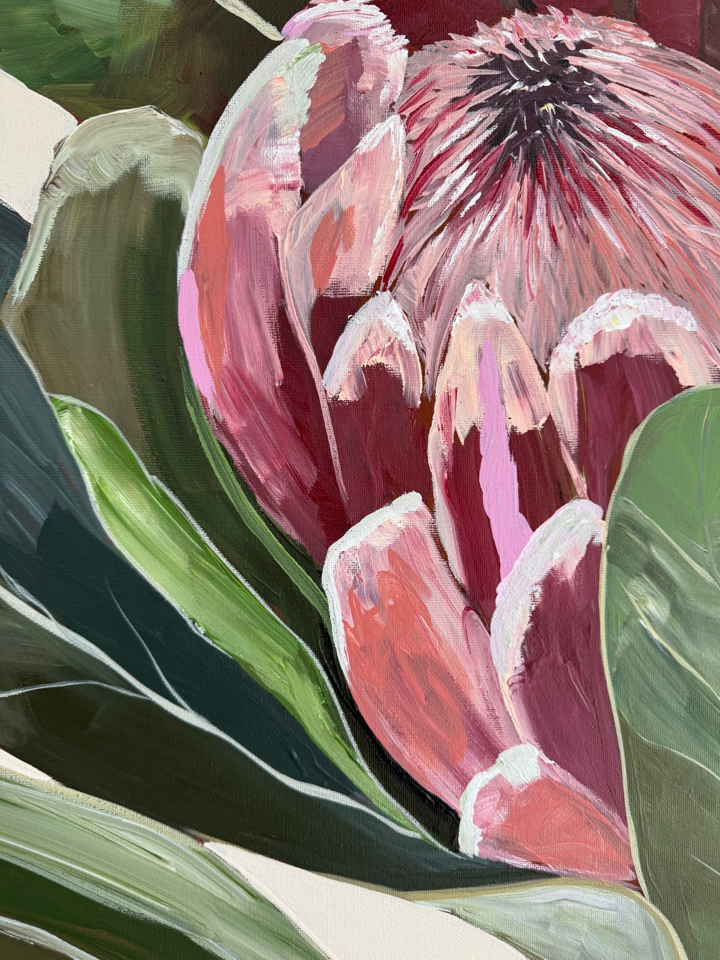 Protea | Fine Art Print